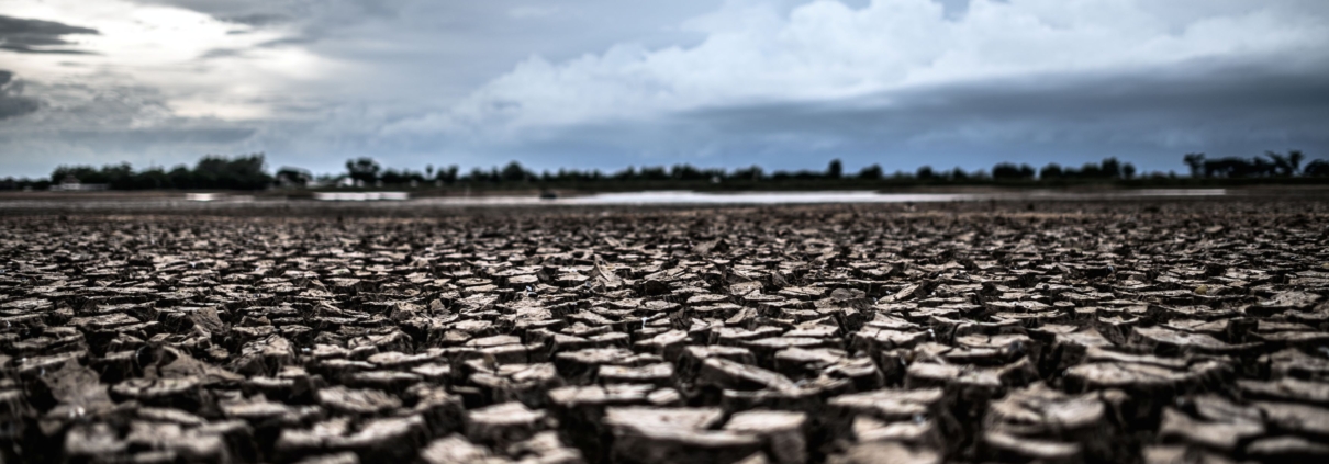 The Influence of News Coverage on Public Understanding of Climate Change